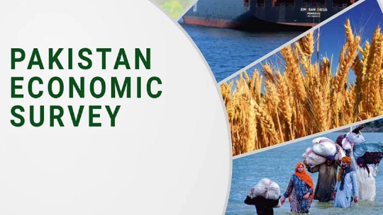 Pakistan Economic Survey 2025-26 to be unveiled today