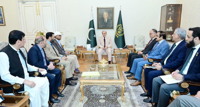 PM Shehbaz, MQM delegation discuss budget, political situation
