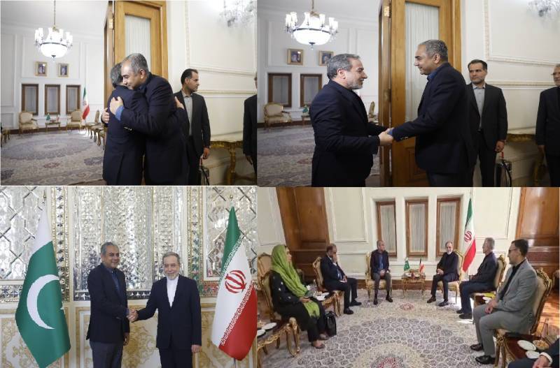 Naqvi meets Araghchi to discuss bilateral ties, upcoming Iran-US peace talks
