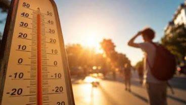 Heatwave claims over 4,000 lives across Europe