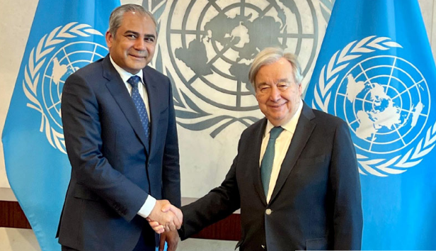 UN chief lauds Pakistan's peace efforts during meeting with Mohsin Naqvi