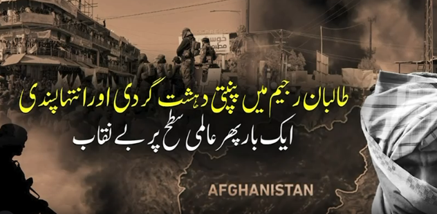 In Taliban-led Afghanistan, terrorism and extremism pose security challenges to neighbouring countries: report 