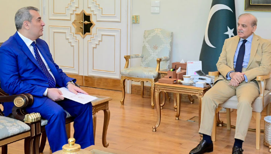 PM Shehbaz reaffirms Pakistan's unwavering commitment to further boost ties with Azerbaijan 