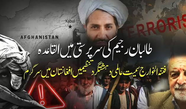 Taliban regime providing safe havens to terrorist groups, says former UN official 