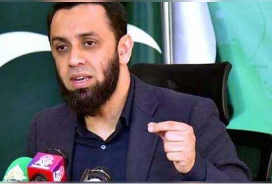 Tarar rejects rigging allegations as PML-N secures majority in AJK polls