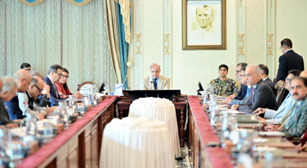 PM Shehbaz for ensuring world-class investors' participation in DISCOs' privatisation