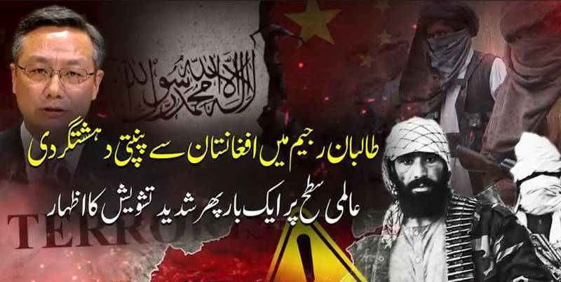 Taliban regime turns Afghanistan into hub for regional, global terrorist networks