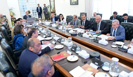 PM Shehbaz directs acceleration of digital reforms