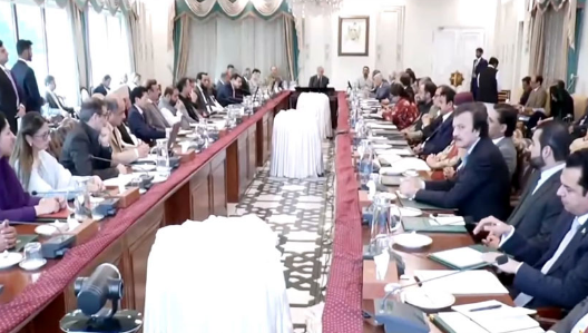 PM Shehbaz again invites opposition to dialogue for strengthening democracy, economy