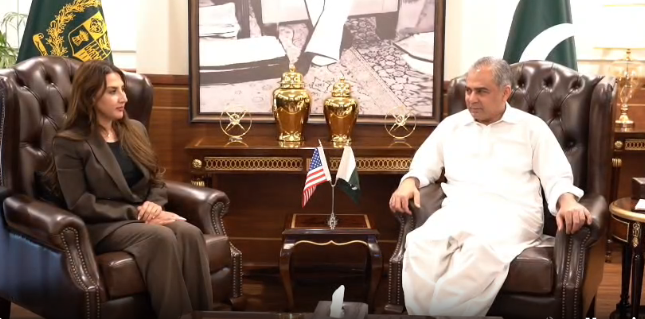 Interior Minister Naqvi, US envoy discuss regional stability and expanded cooperation