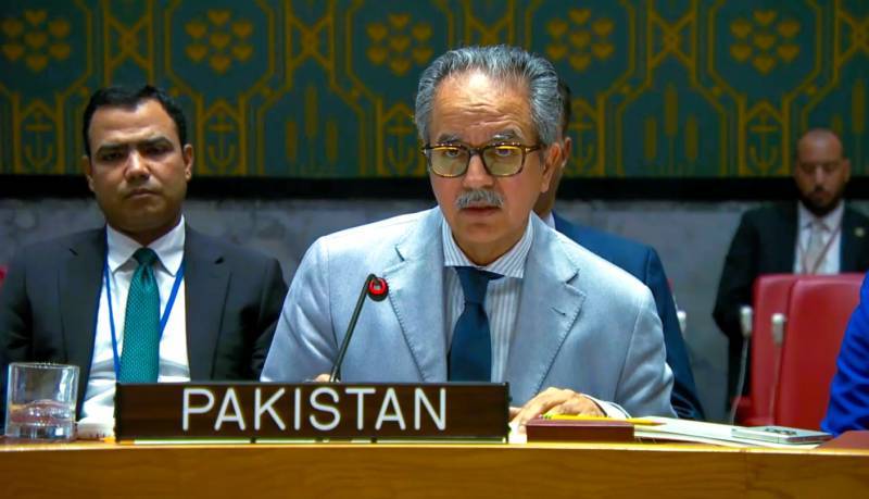 Pakistan urges UNSC to tackle root causes of conflict-driven food insecurity