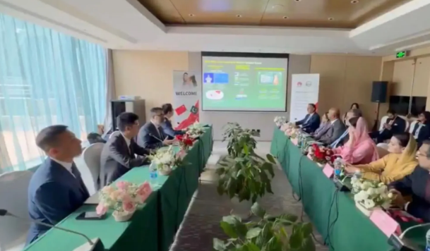 CM Maryam proposes Punjab-Guizhou joint working group for AI, digital cooperation, smart agriculture 