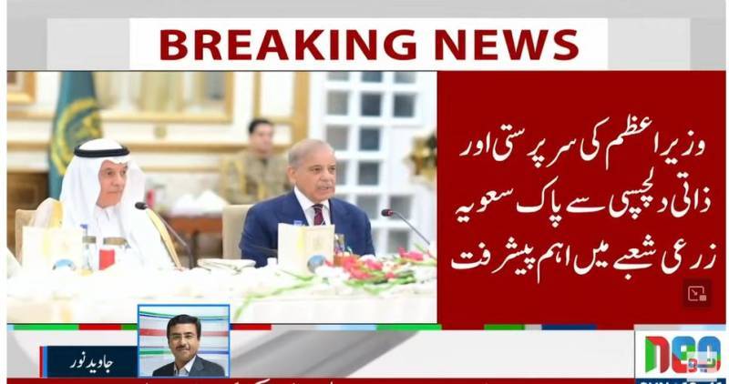 Pakistan, Saudi Arabia set $3 billion target for agricultural and food exports 