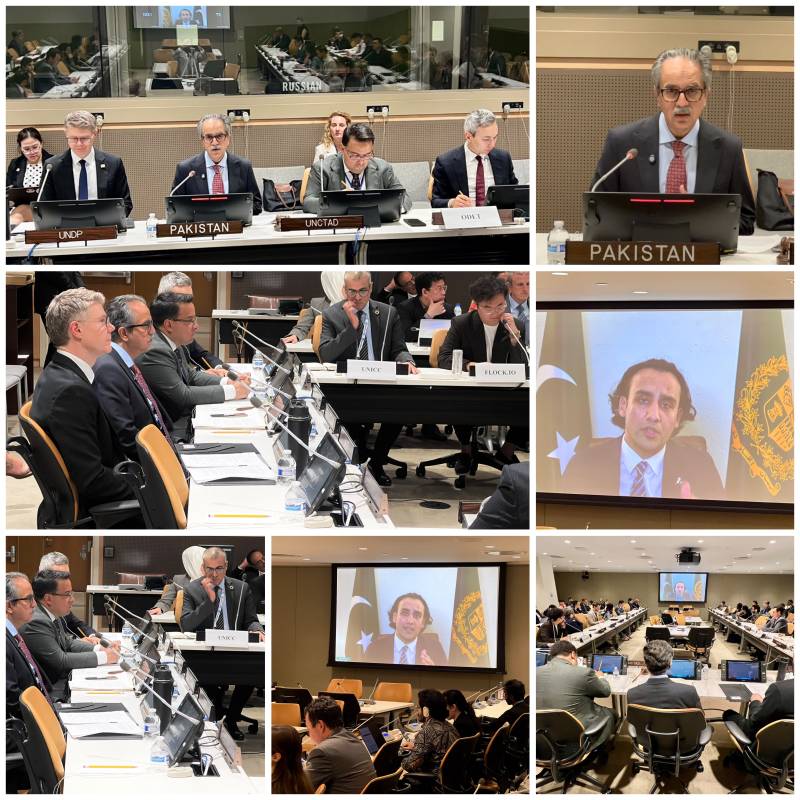 Pakistan hosts UN briefing on digital assets, blockchain for sustainable development