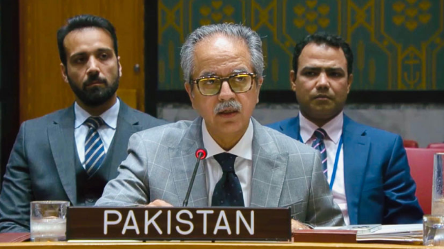 Pakistan condemns Houthi attacks on Saudi Arabia, calls for de-escalation and UN-led political process in Yemen