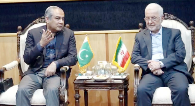 Iran appreciates Pakistan's efforts for regional peace, stability 