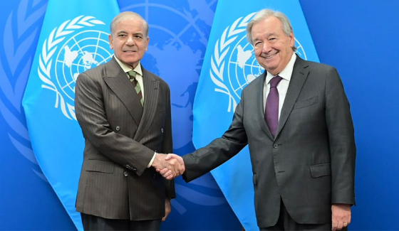 PM Shehbaz, UN chief discuss regional and international developments, Middle East situation