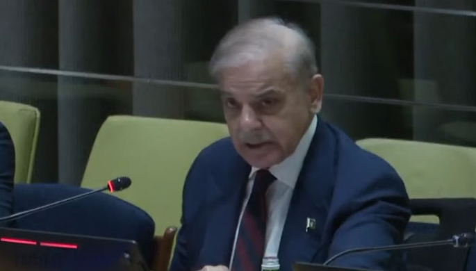 PM Shehbaz reaffirms Pakistan’s complete support for China’s GDI