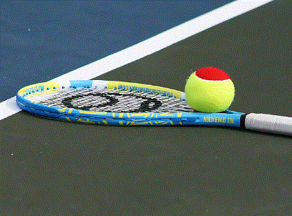 Davis Cup tie: India tennis team set to visit Pakistan