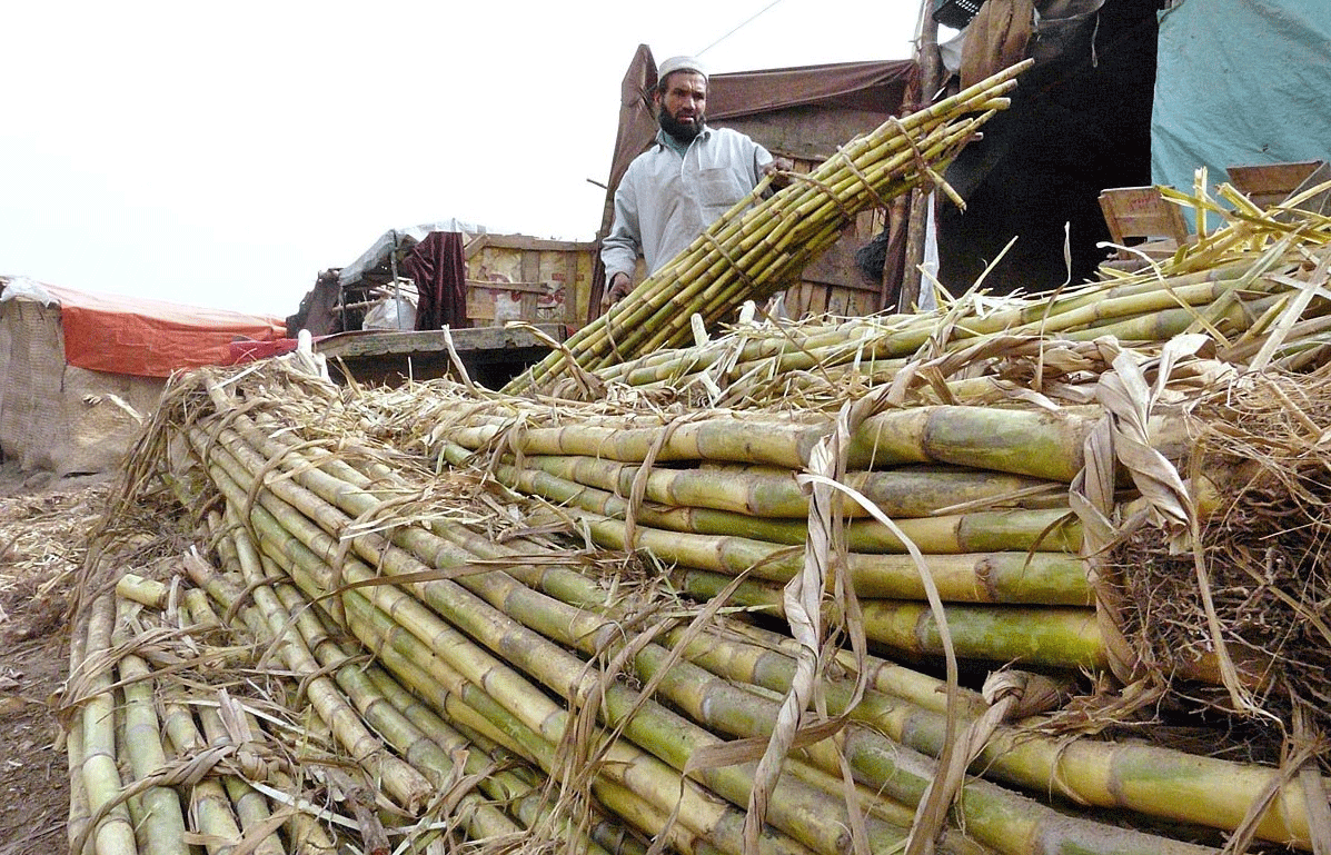 Punjab govt issues new ordinance to control sugar mafia
